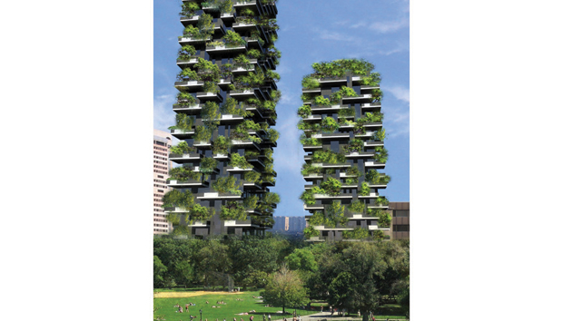 Un nuevo concepto para reforestar las grandes ciudades.