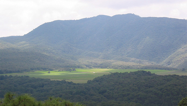 Vista panorámica del bosque La Primavera. Foto: salvemoslaprimavera.wordpress.com