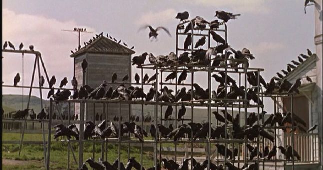 Imagen de la película «The Birds», de Alfred Hitchcock.